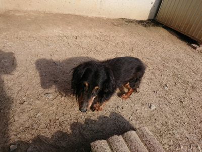 f:id:roukenhome-ann:20190406185230j:plain