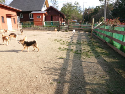 f:id:roukenhome-ann:20190406185317j:plain