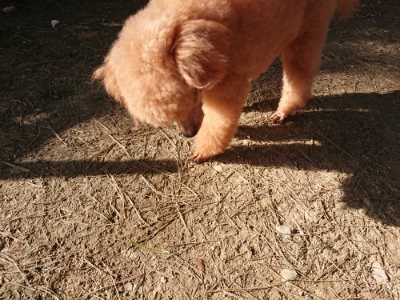f:id:roukenhome-ann:20190406185337j:plain