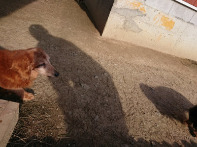 f:id:roukenhome-ann:20190406185343j:plain