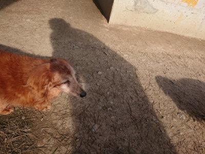 f:id:roukenhome-ann:20190406185409j:plain
