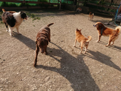 f:id:roukenhome-ann:20190406192347j:plain