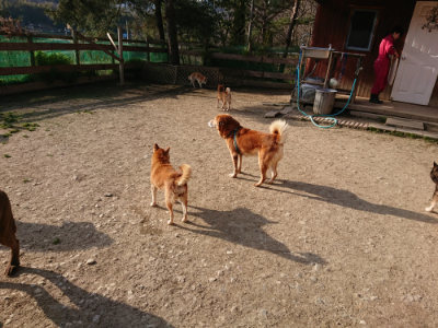 f:id:roukenhome-ann:20190406192418j:plain