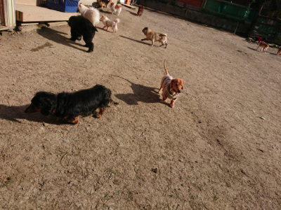 f:id:roukenhome-ann:20190406192425j:plain