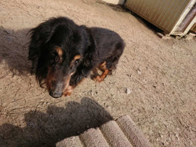 f:id:roukenhome-ann:20190406192518j:plain