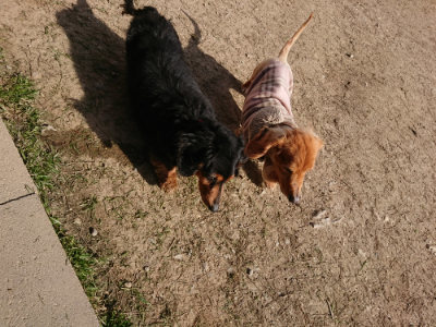 f:id:roukenhome-ann:20190406193200j:plain