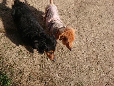 f:id:roukenhome-ann:20190406193246j:plain