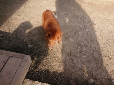 f:id:roukenhome-ann:20190406193648j:plain