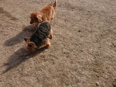 f:id:roukenhome-ann:20190406193744j:plain