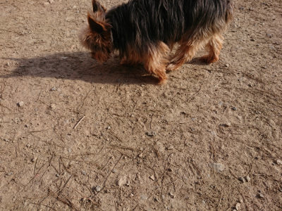 f:id:roukenhome-ann:20190406193931j:plain