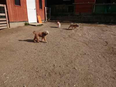 f:id:roukenhome-ann:20190406194125j:plain