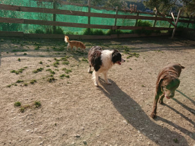 f:id:roukenhome-ann:20190406194410j:plain