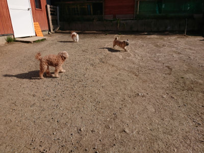 f:id:roukenhome-ann:20190406194429j:plain
