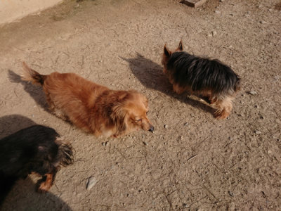 f:id:roukenhome-ann:20190406194530j:plain