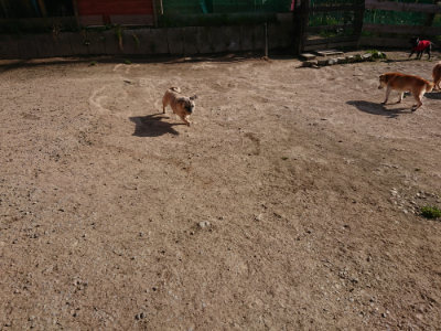 f:id:roukenhome-ann:20190406194658j:plain
