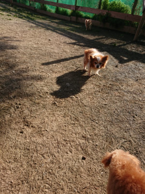 f:id:roukenhome-ann:20190406195151j:plain