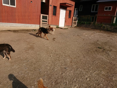 f:id:roukenhome-ann:20190406195408j:plain