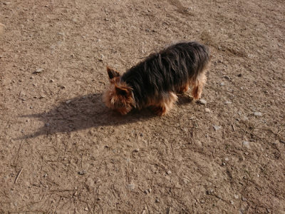 f:id:roukenhome-ann:20190406195433j:plain
