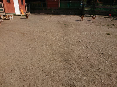 f:id:roukenhome-ann:20190406195504j:plain
