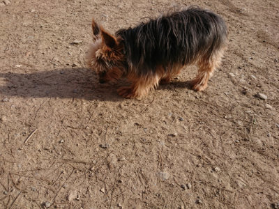 f:id:roukenhome-ann:20190406195702j:plain
