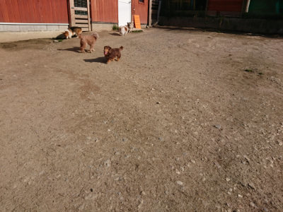 f:id:roukenhome-ann:20190406195811j:plain