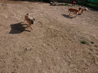 f:id:roukenhome-ann:20190406195919j:plain