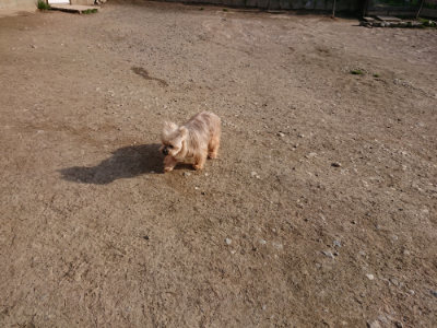 f:id:roukenhome-ann:20190406201433j:plain
