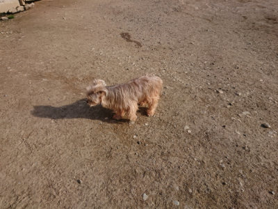 f:id:roukenhome-ann:20190406201439j:plain