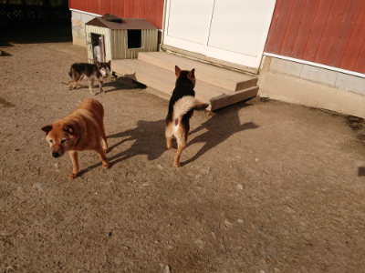 f:id:roukenhome-ann:20190406201445j:plain