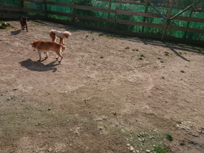f:id:roukenhome-ann:20190406201640j:plain