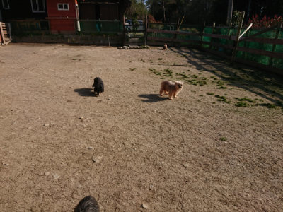 f:id:roukenhome-ann:20190406201727j:plain