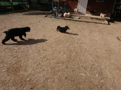 f:id:roukenhome-ann:20190407053940j:plain