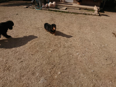 f:id:roukenhome-ann:20190407053946j:plain