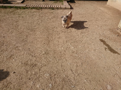 f:id:roukenhome-ann:20190407054004j:plain