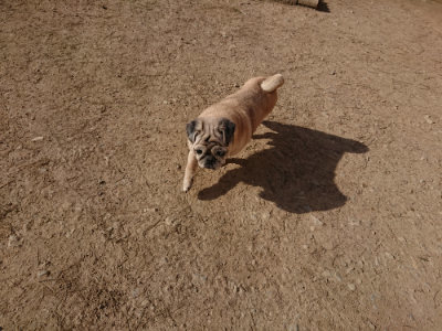 f:id:roukenhome-ann:20190407054011j:plain