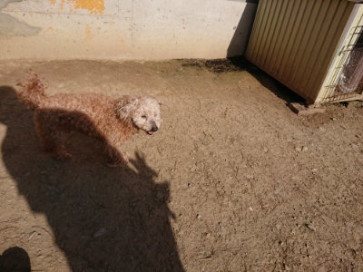 f:id:roukenhome-ann:20190407054028j:plain
