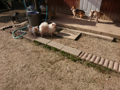 f:id:roukenhome-ann:20190407054045j:plain
