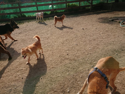 f:id:roukenhome-ann:20190407054103j:plain