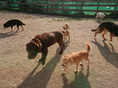 f:id:roukenhome-ann:20190407054130j:plain