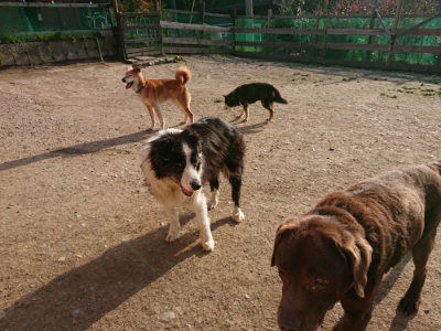 f:id:roukenhome-ann:20190407054212j:plain
