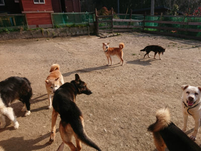 f:id:roukenhome-ann:20190407054332j:plain