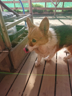 f:id:roukenhome-ann:20190407054345j:plain