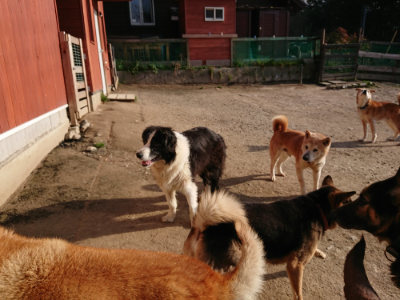 f:id:roukenhome-ann:20190407054435j:plain