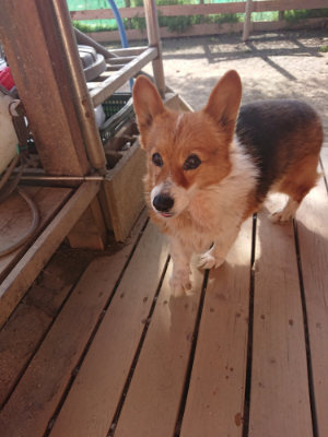 f:id:roukenhome-ann:20190407054440j:plain