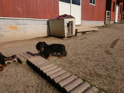 f:id:roukenhome-ann:20190407054510j:plain