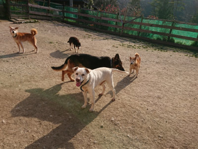f:id:roukenhome-ann:20190407054515j:plain