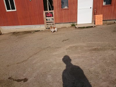 f:id:roukenhome-ann:20190407054527j:plain