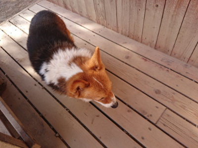 f:id:roukenhome-ann:20190407054533j:plain