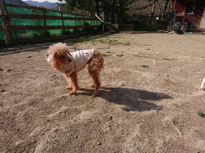 f:id:roukenhome-ann:20190407054555j:plain