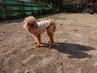 f:id:roukenhome-ann:20190407054600j:plain